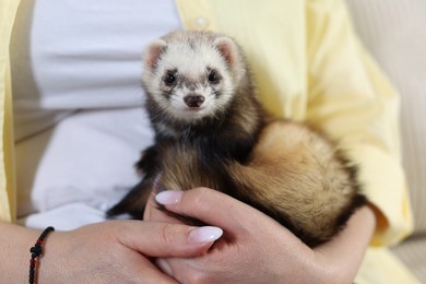 Photo of Woman with cute ferret, closeup. Domestic pet