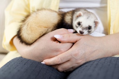 Photo of Woman with cute ferret, closeup. Domestic pet
