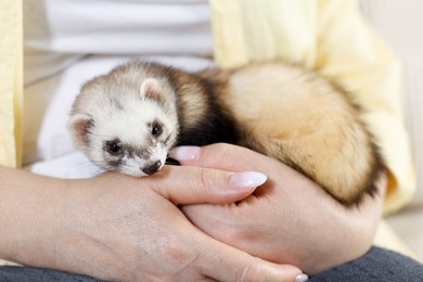Photo of Woman with cute ferret, closeup. Domestic pet