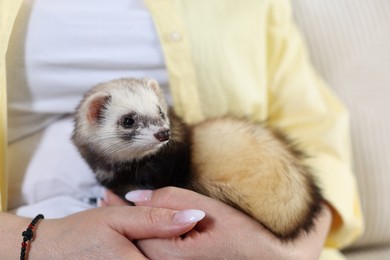 Photo of Woman with cute ferret on sofa, closeup