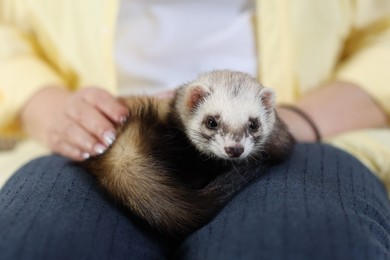 Photo of Woman with cute ferret, closeup. Domestic pet
