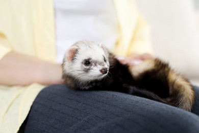 Photo of Woman with cute ferret, closeup. Domestic pet