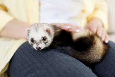Photo of Woman with cute ferret, closeup. Domestic pet
