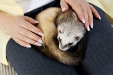 Photo of Woman with cute ferret on sofa, closeup