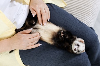 Photo of Woman with cute ferret on sofa, above view
