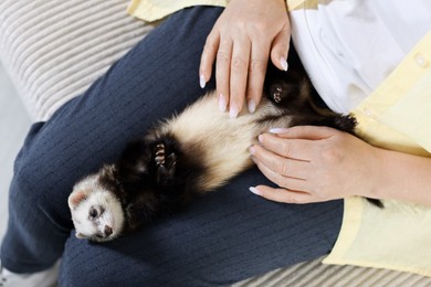 Photo of Woman with cute ferret on sofa, above view