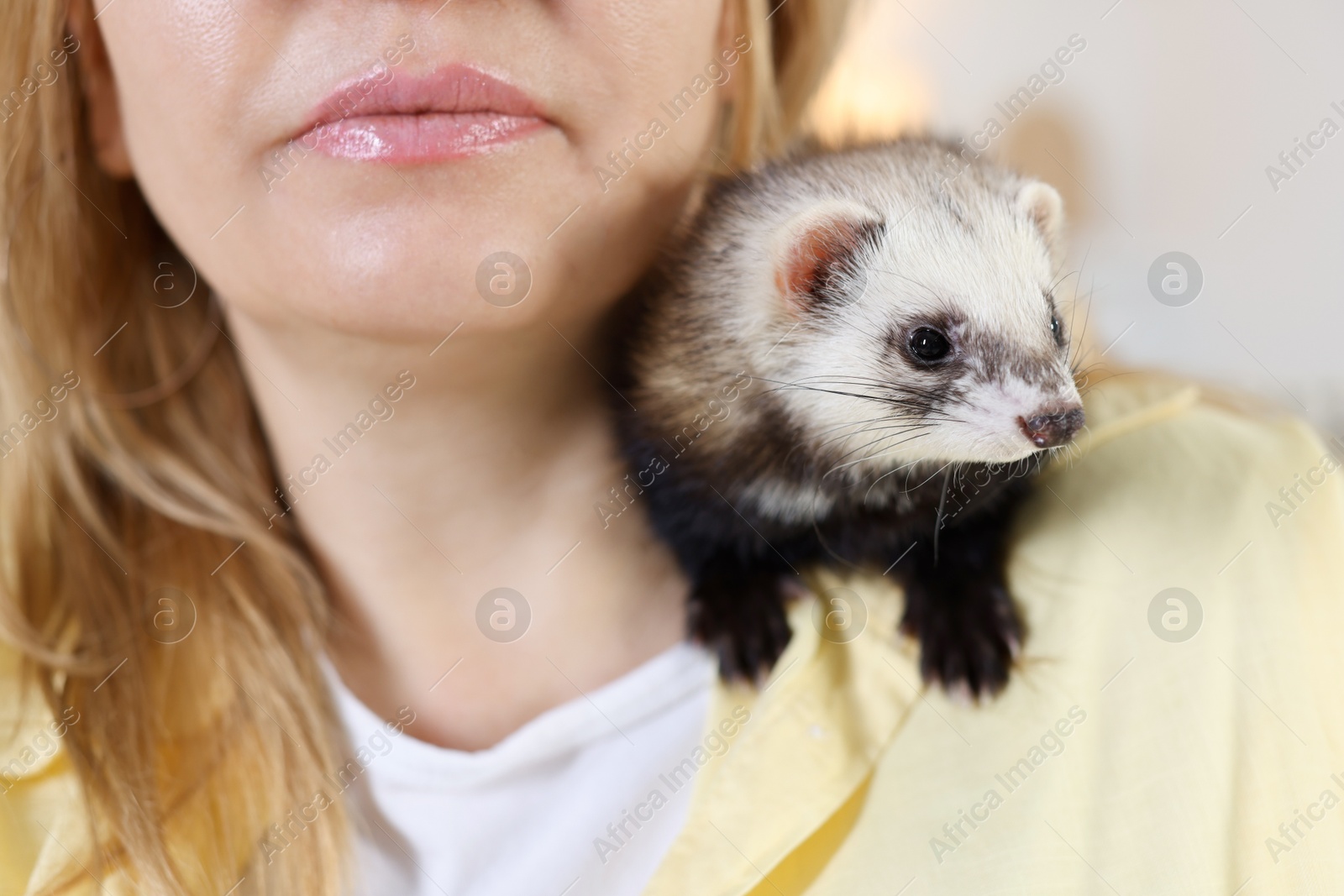 Woman with cute ferret on blurred background, closeup Photo of Woman with cute ferret on blurred background, closeup