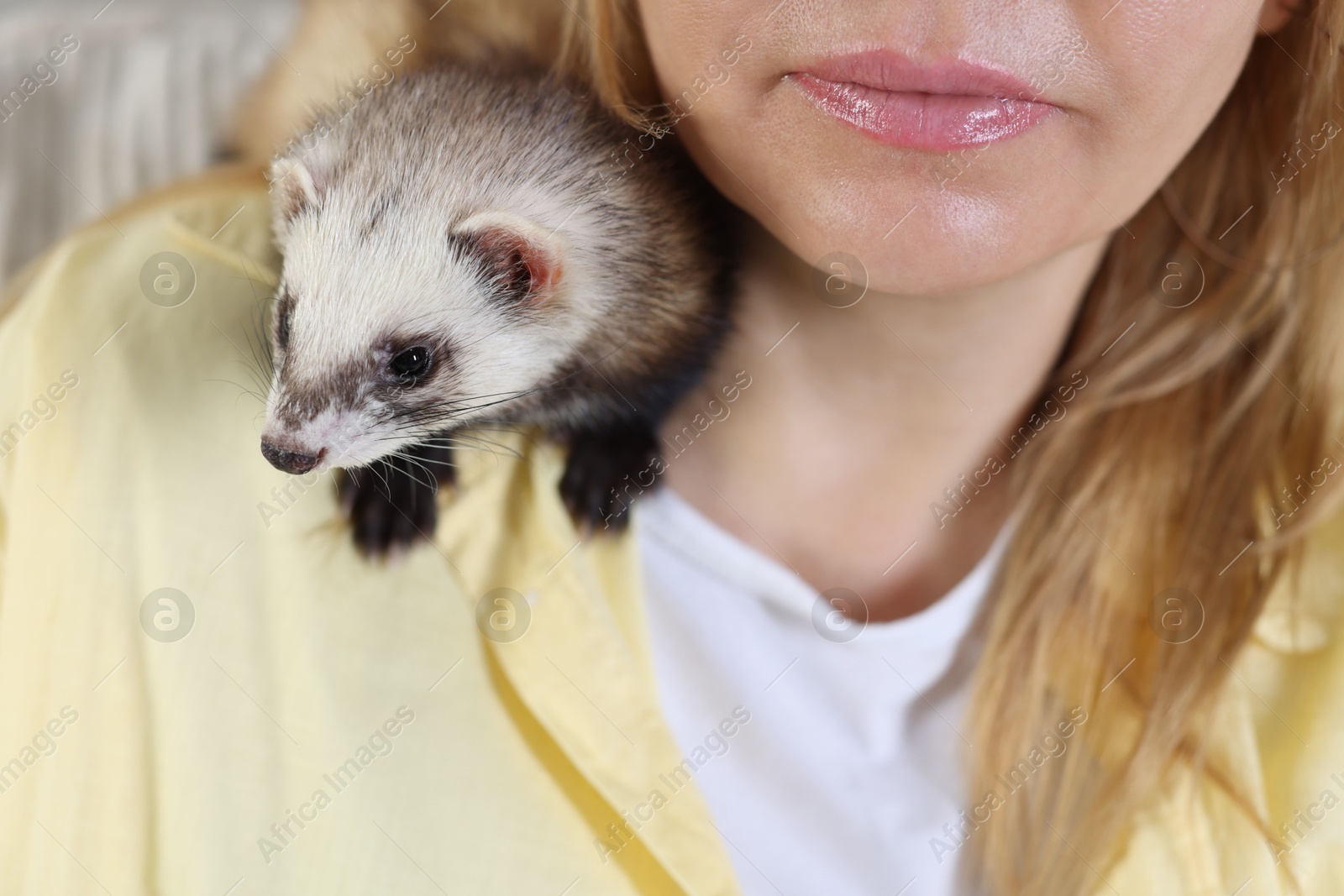Woman with cute ferret, closeup. Domestic pet Photo of Woman with cute ferret, closeup. Domestic pet