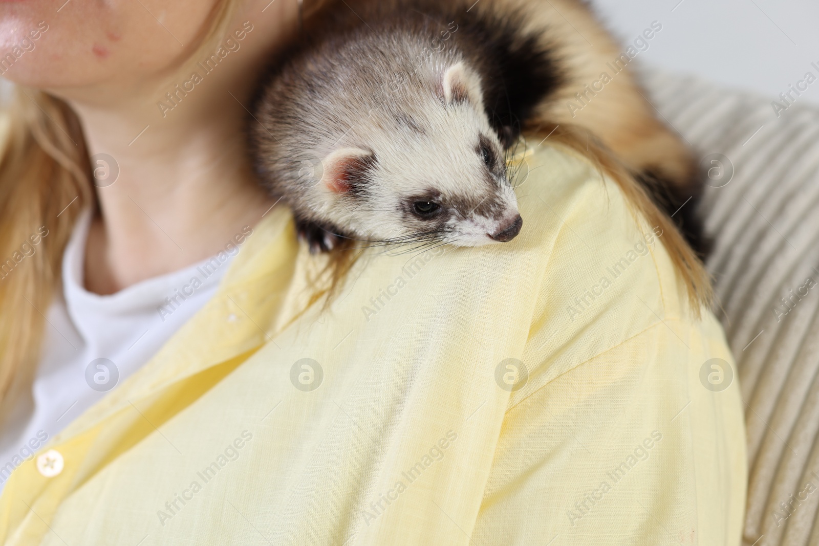 Woman with cute ferret, closeup. Domestic pet Photo of Woman with cute ferret, closeup. Domestic pet
