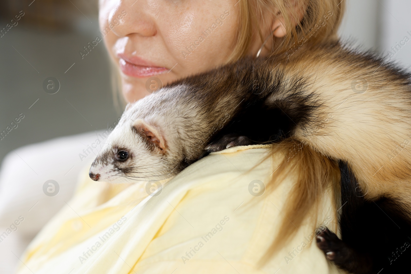 Woman with cute ferret on blurred background, closeup Photo of Woman with cute ferret on blurred background, closeup