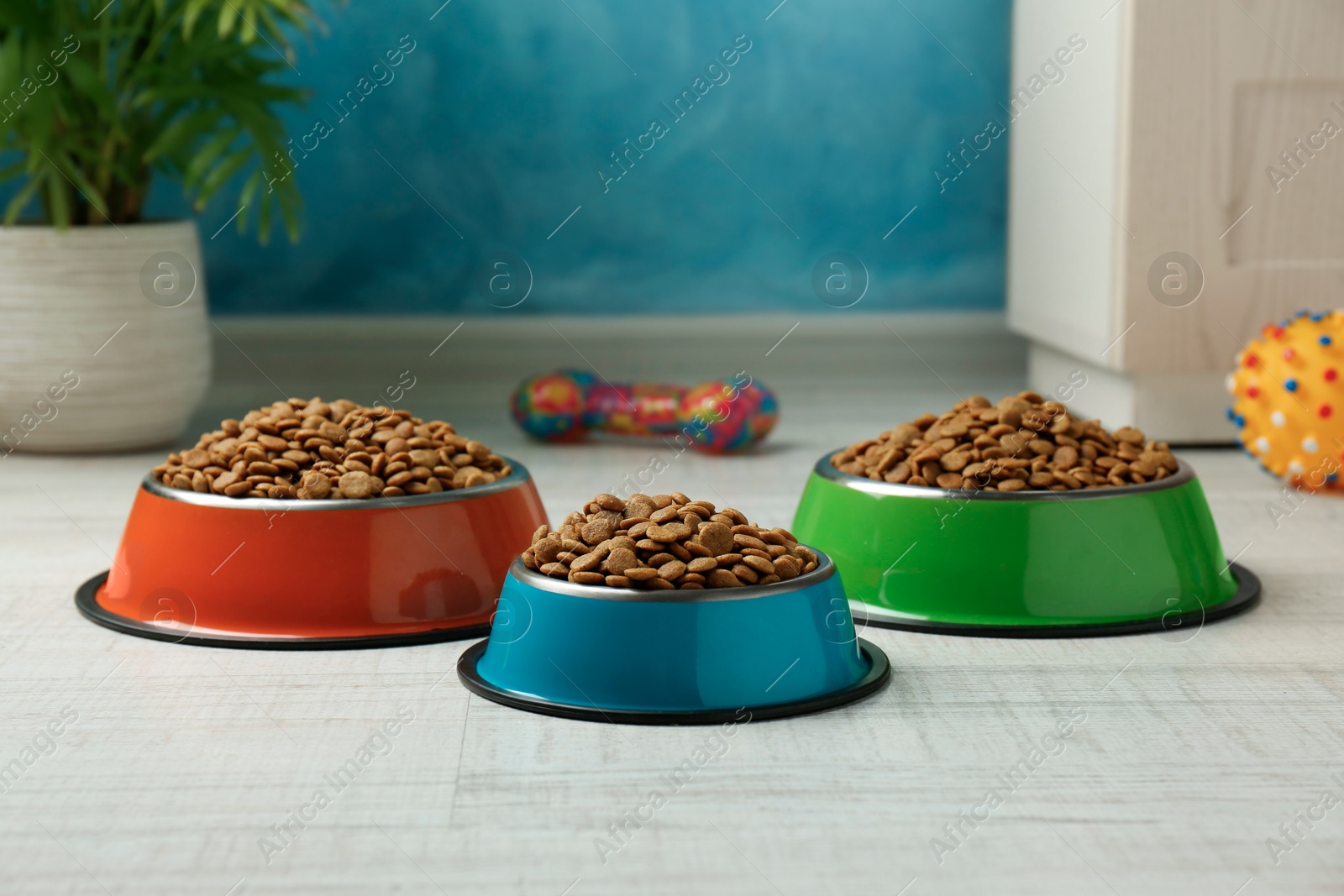 Photo of Dry pet food in feeding bowls and toys on floor indoors