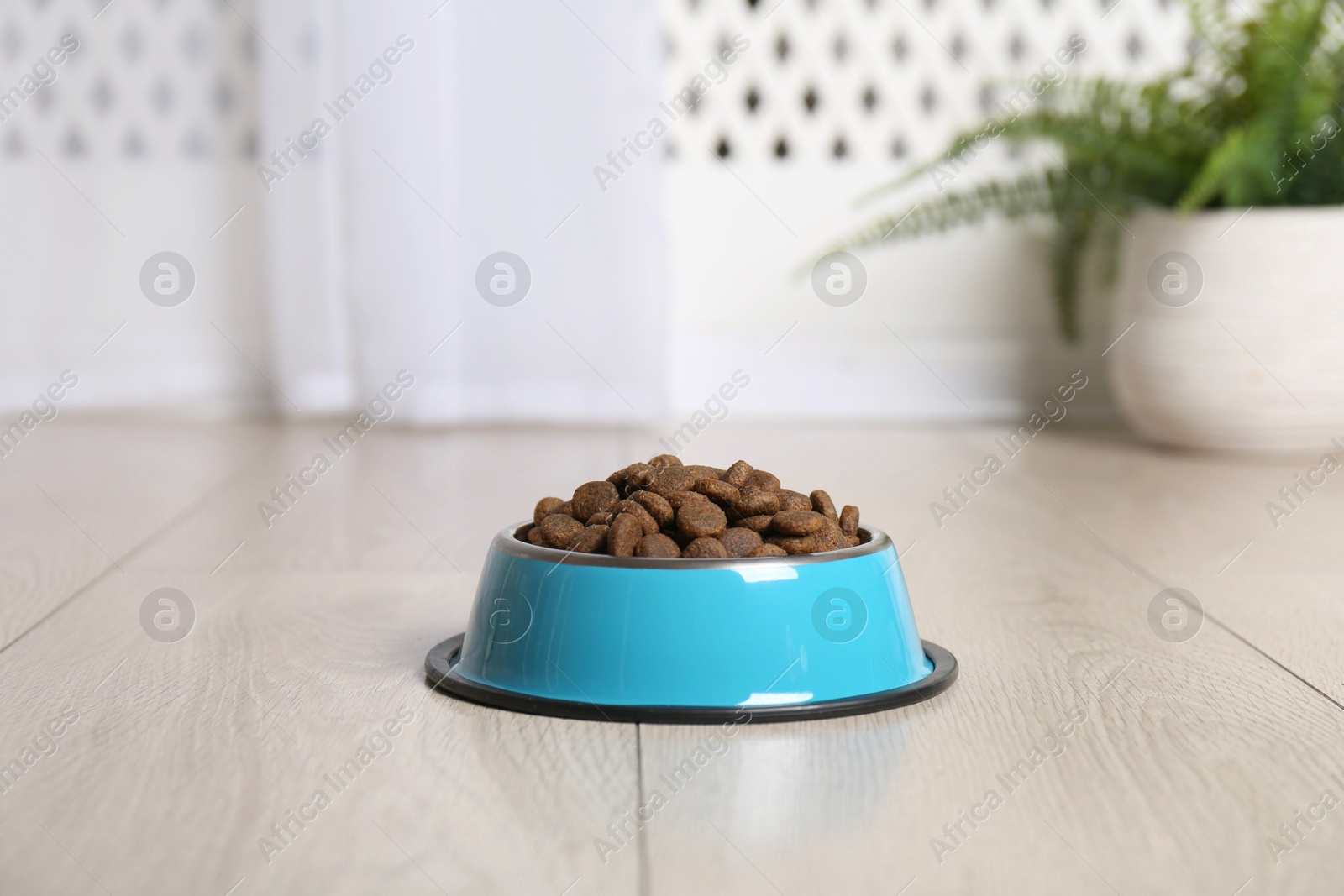 Photo of Dry pet food in feeding bowl on floor indoors