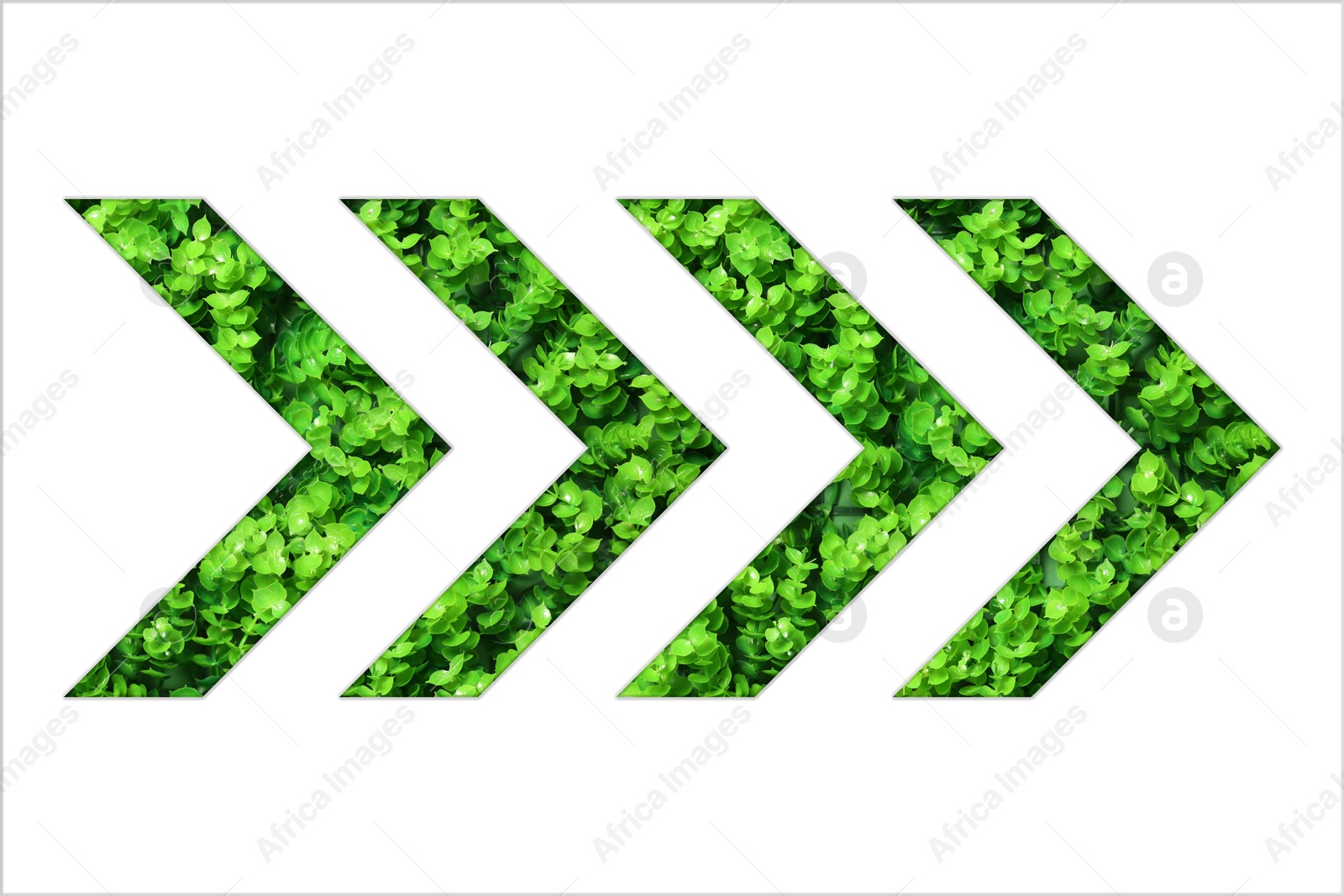 Image of Arrow with green leaves inside isolated on white