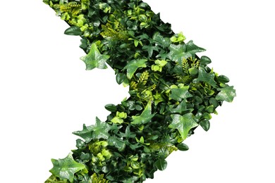 Image of Arrow with green leaves of different plants inside isolated on white