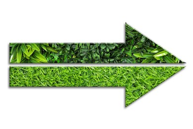 Image of Arrow with green leaves of different plants and grass isolated on white