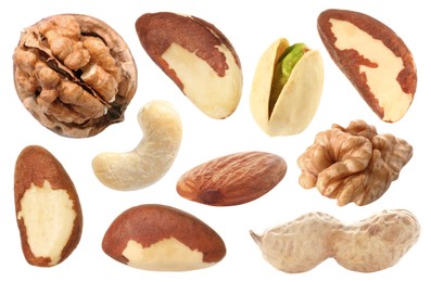 Image of Brazil and other nuts isolated on white, set