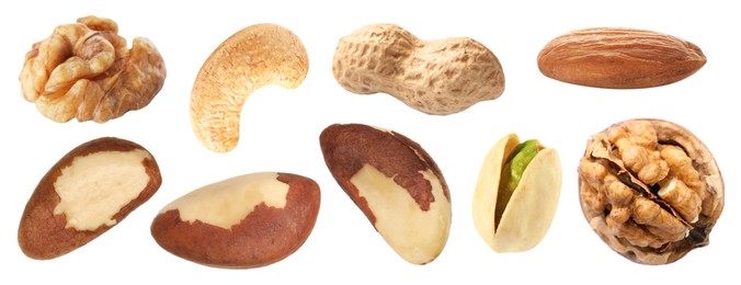 Image of Brazil and other nuts isolated on white, set