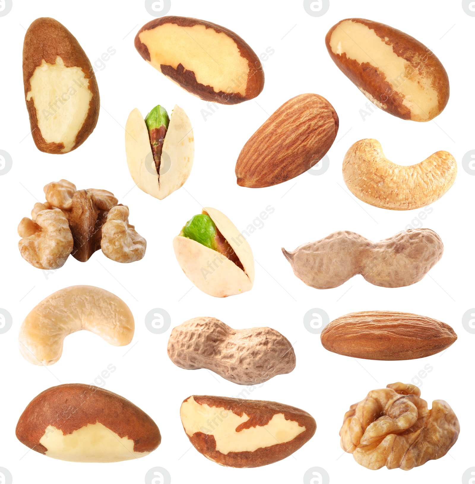 Image of Brazil and other nuts isolated on white, set