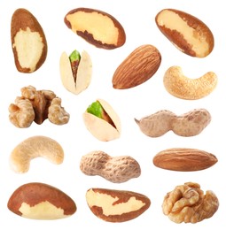 Image of Brazil and other nuts isolated on white, set