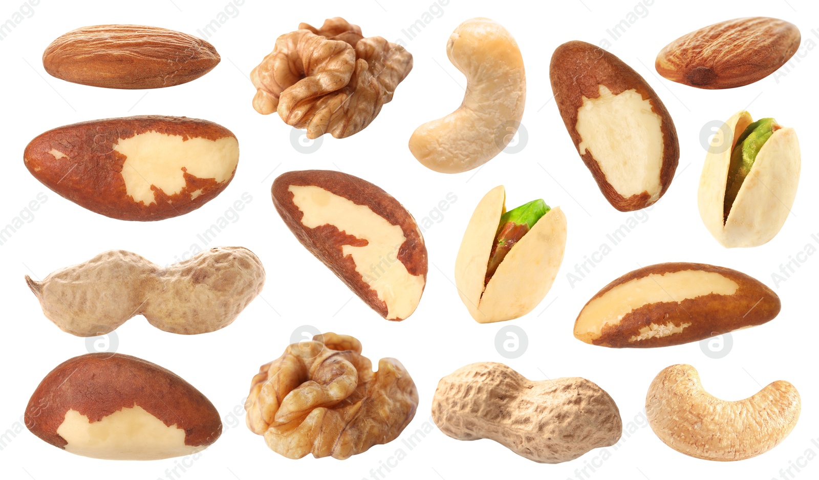 Image of Brazil and other nuts isolated on white, set