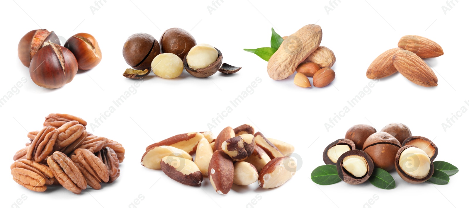 Image of Brazil and other nuts isolated on white, set