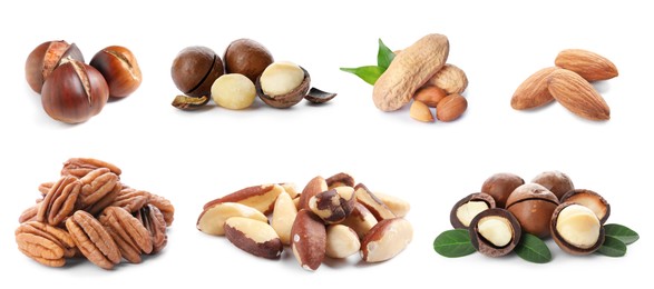 Image of Brazil and other nuts isolated on white, set