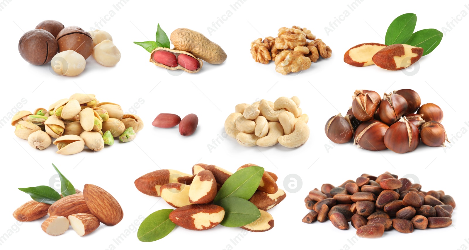 Image of Brazil and other nuts isolated on white, set