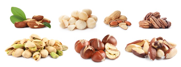 Image of Brazil and other nuts isolated on white, set