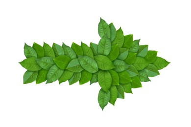 Image of Arrow made of bright green leaves isolated on white