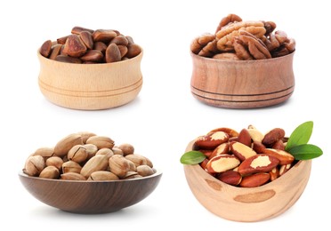 Image of Brazil and other nuts in bowls isolated on white, set