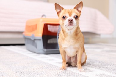 Photo of Adorable dog and pet carrier on floor indoors, selective focus