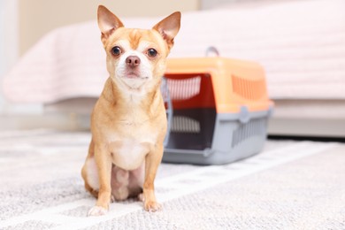 Photo of Adorable dog and pet carrier on floor indoors, selective focus