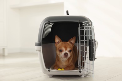 Photo of Adorable dog in pet carrier on floor indoors