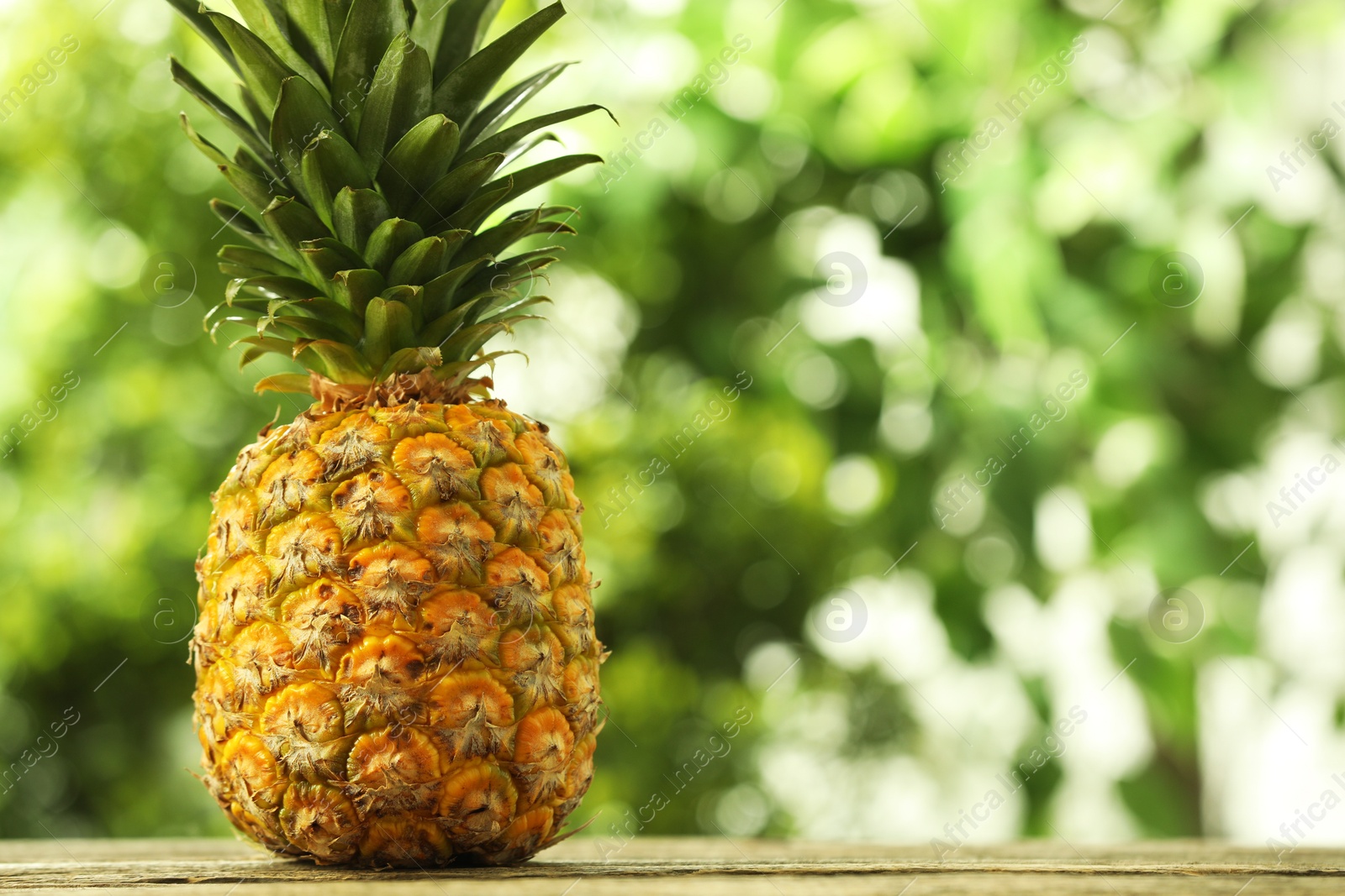 Photo of Fresh ripe pineapple on wooden table against blurred background, space for text