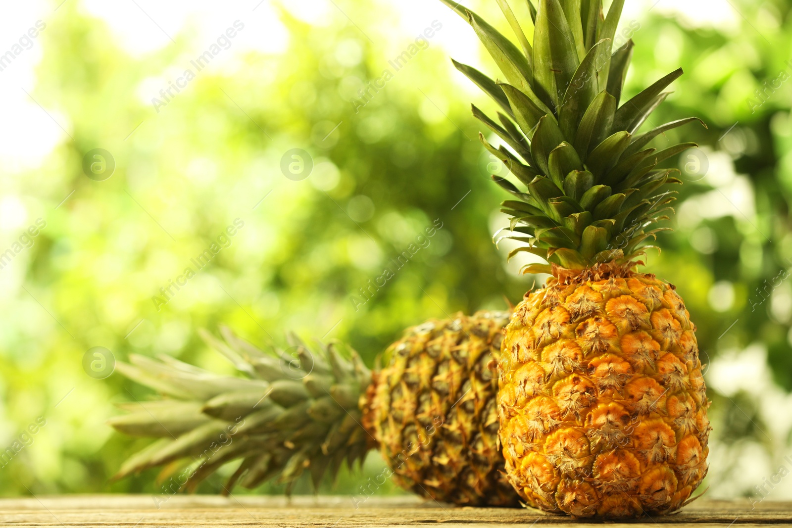 Photo of Fresh ripe pineapples on wooden table against blurred background, space for text