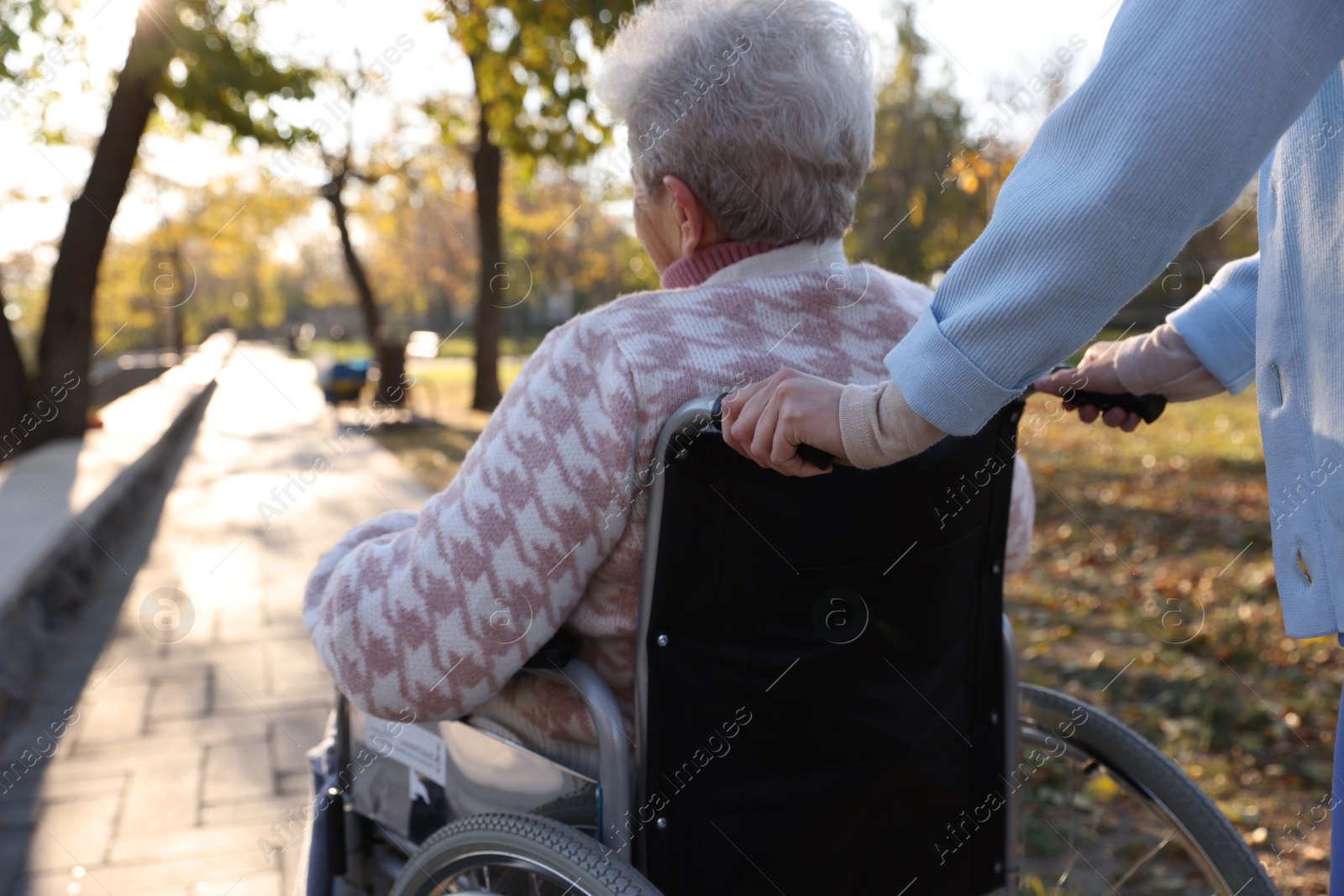 Photo of Caregiver with elderly woman in wheelchair at park, closeup