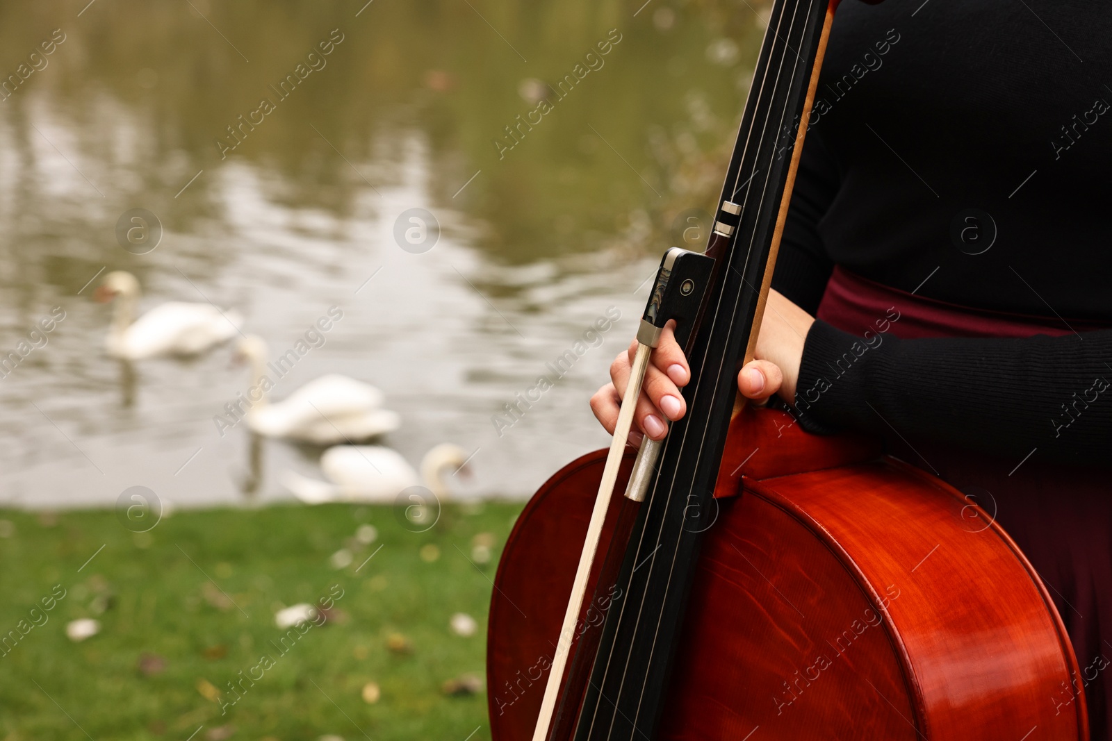 Photo of Woman with cello in park, closeup. Space for text