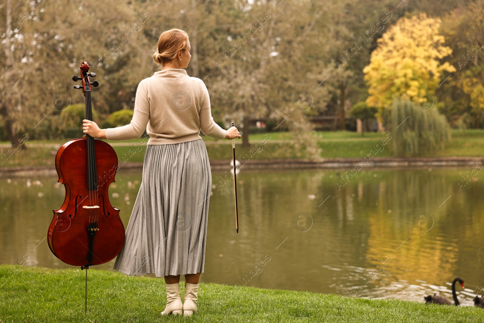 Photo of Young woman with cello in park, back view. Space for text