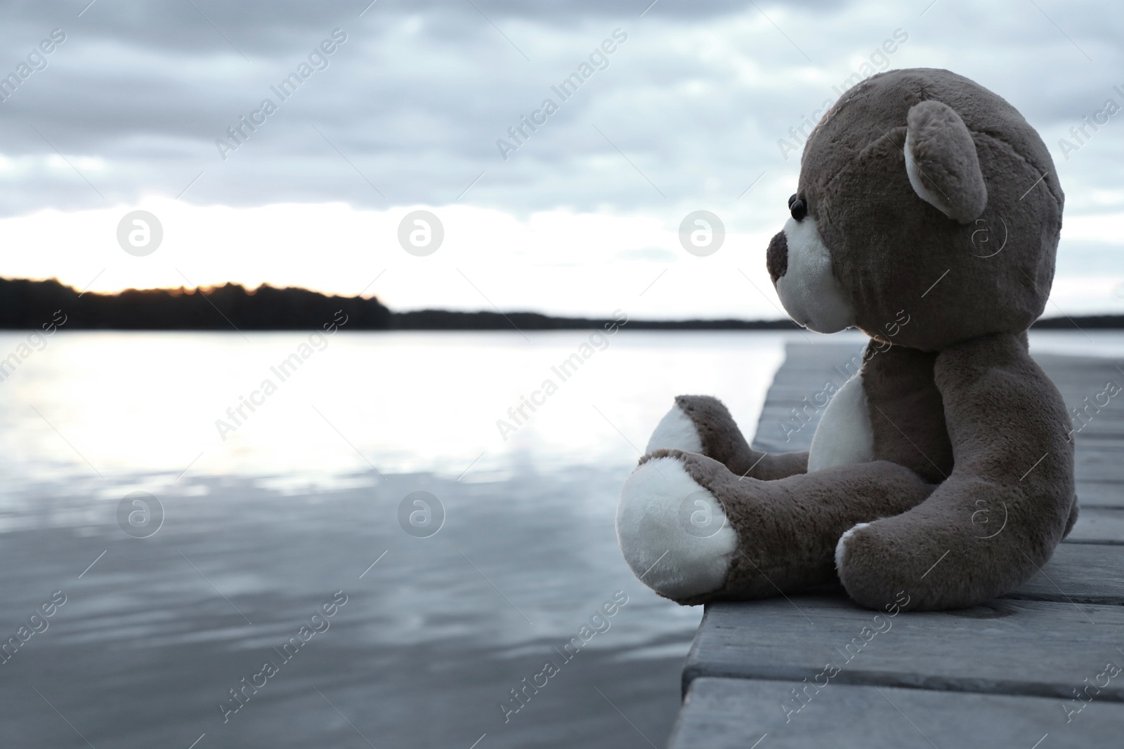 Photo of Lonely teddy bear on deck near river, space for text