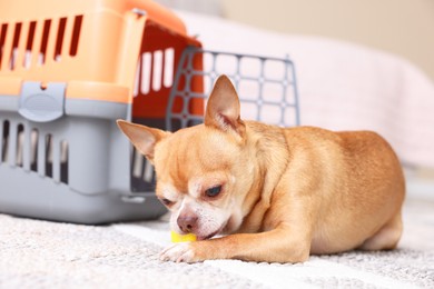 Photo of Adorable dog with toy and pet carrier on floor indoors, selective focus