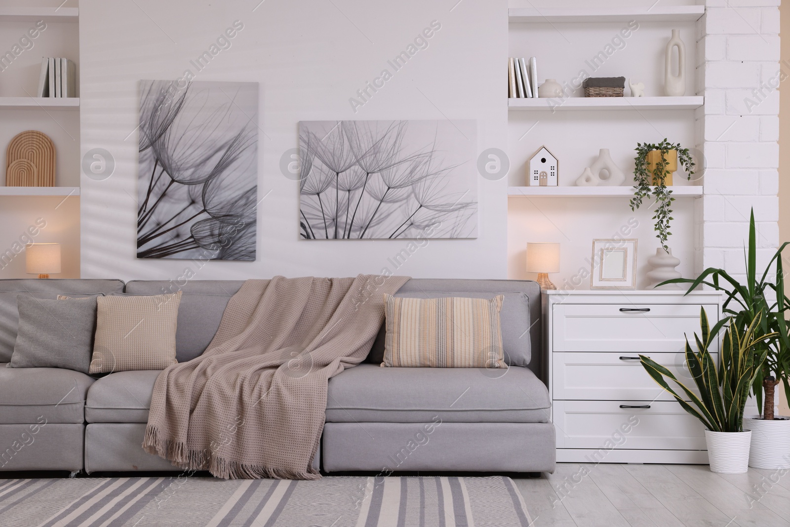 Photo of Comfortable sofa, houseplants and decorative elements in living room. Interior design