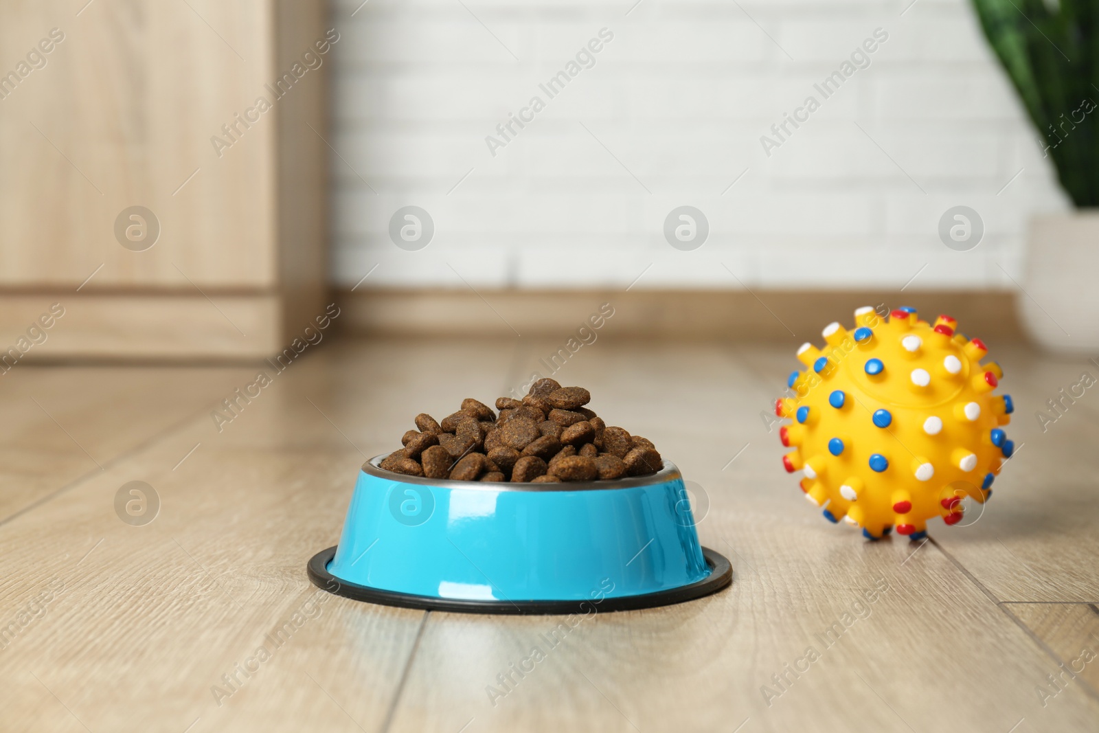 Photo of Dry pet food in feeding bowl and toy on floor indoors