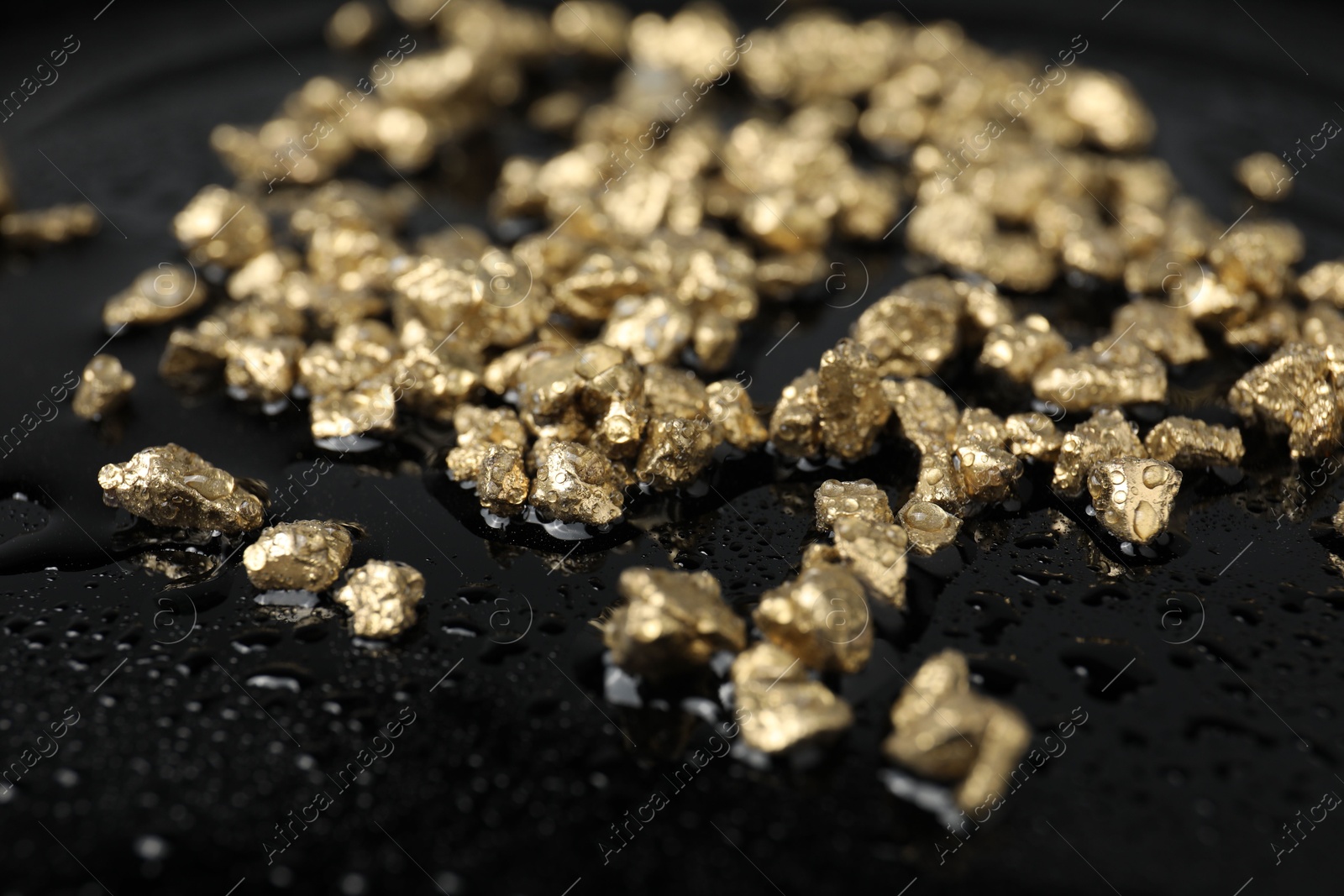 Photo of Gold nuggets on wet black surface, closeup