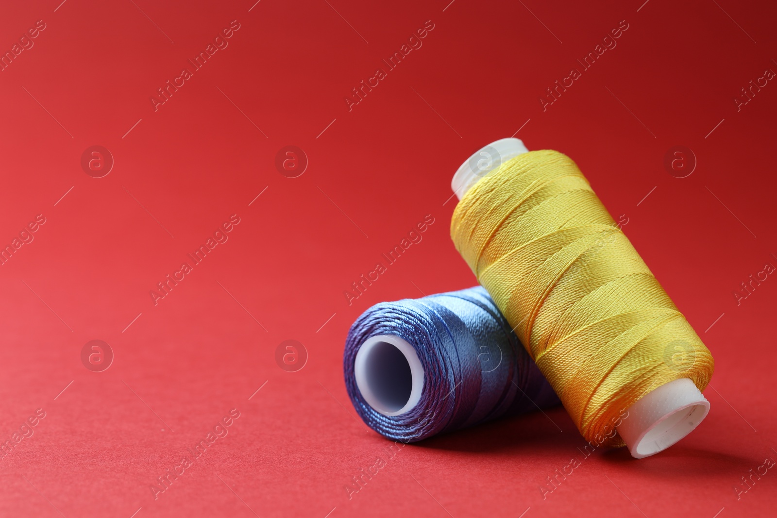 Photo of Spools of colorful sewing threads on red background, space for text