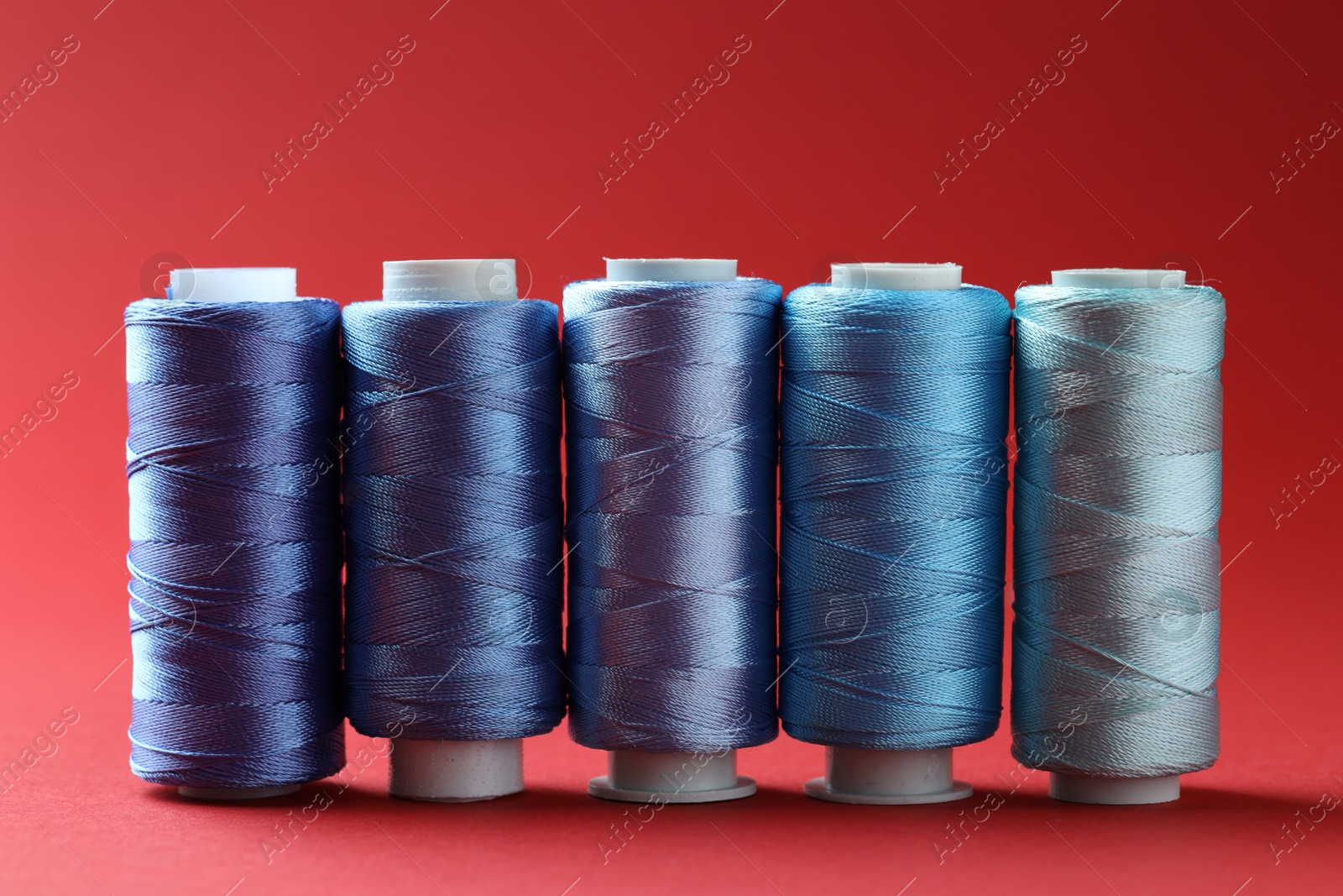 Photo of Spools of colorful sewing threads on red background