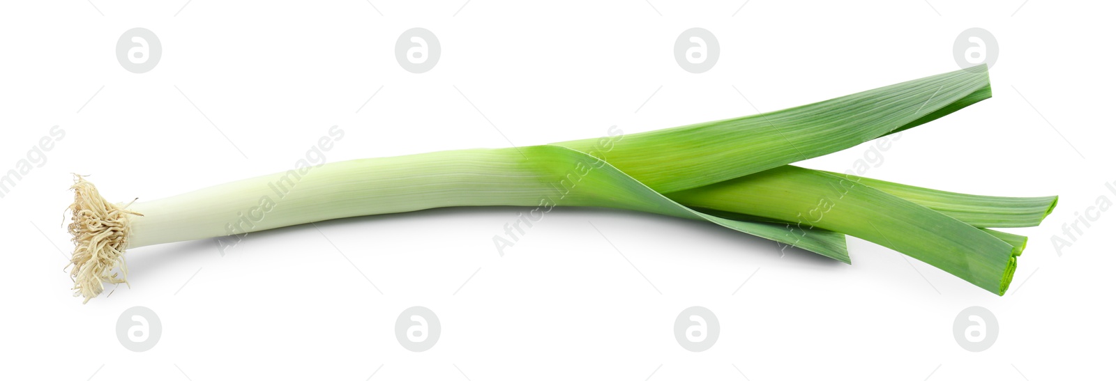 Photo of One fresh green leek isolated on white