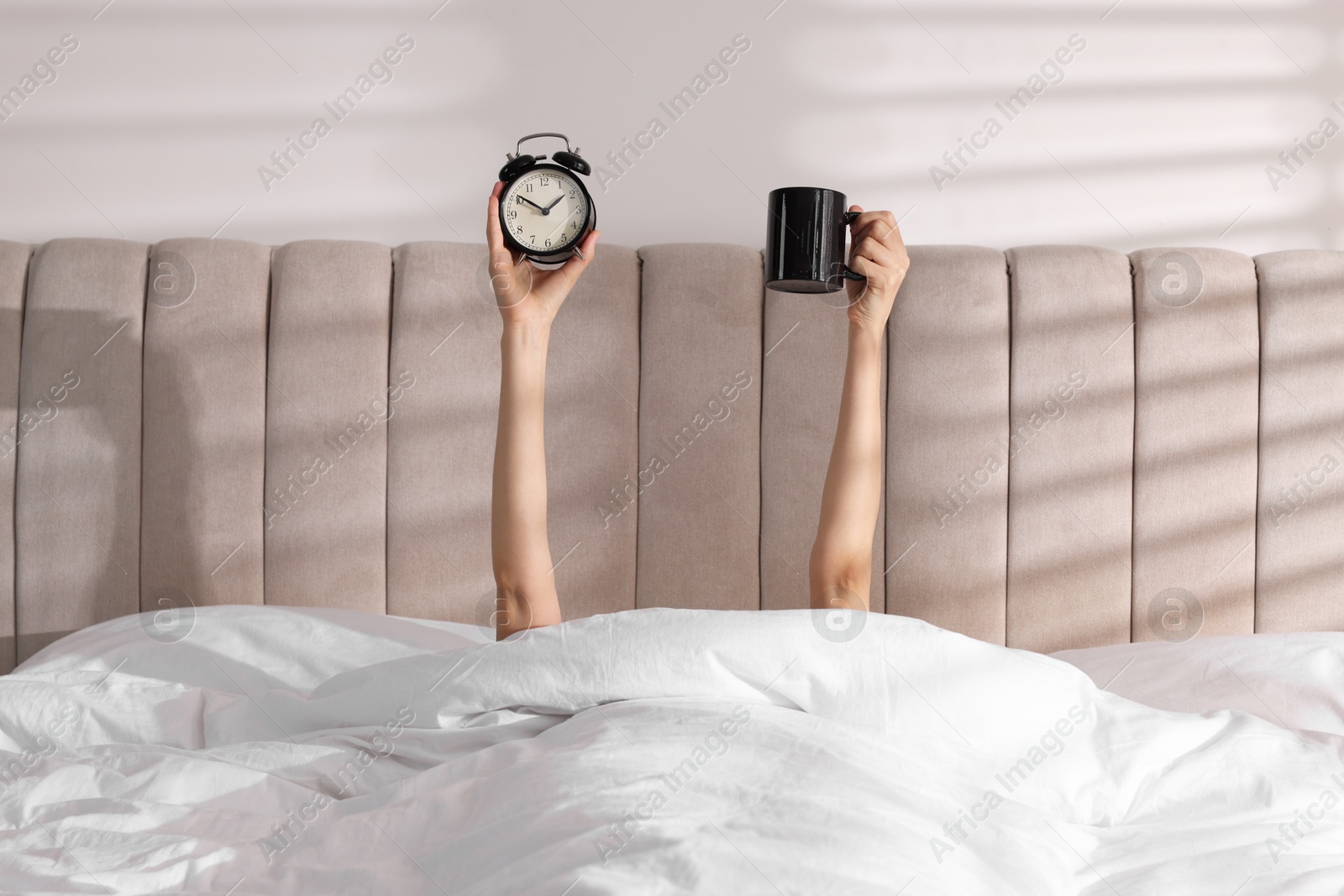 Photo of Woman with alarm clock and cup in bed at home, closeup. Good morning