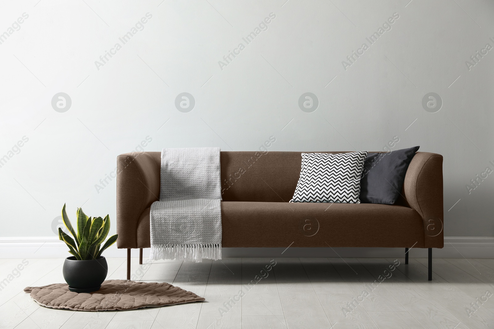 Image of Sofa in mocha mousse shade and houseplant indoors. Interior with trendy color of 2025 year