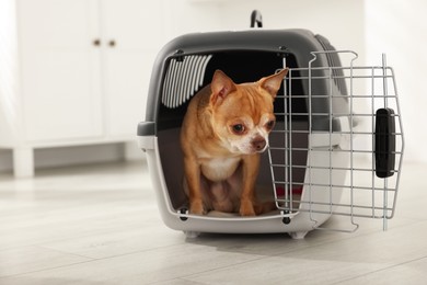 Photo of Adorable dog in pet carrier on floor indoors