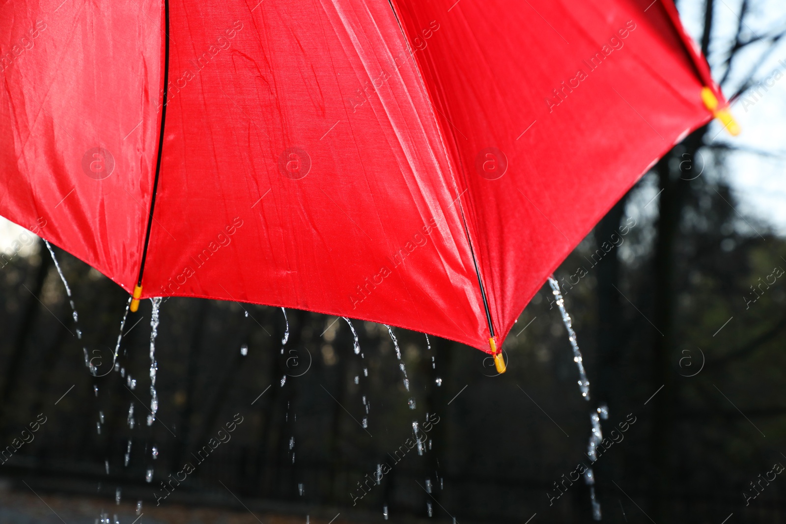 Photo of Open red umbrella under pouring rain outdoors, closeup